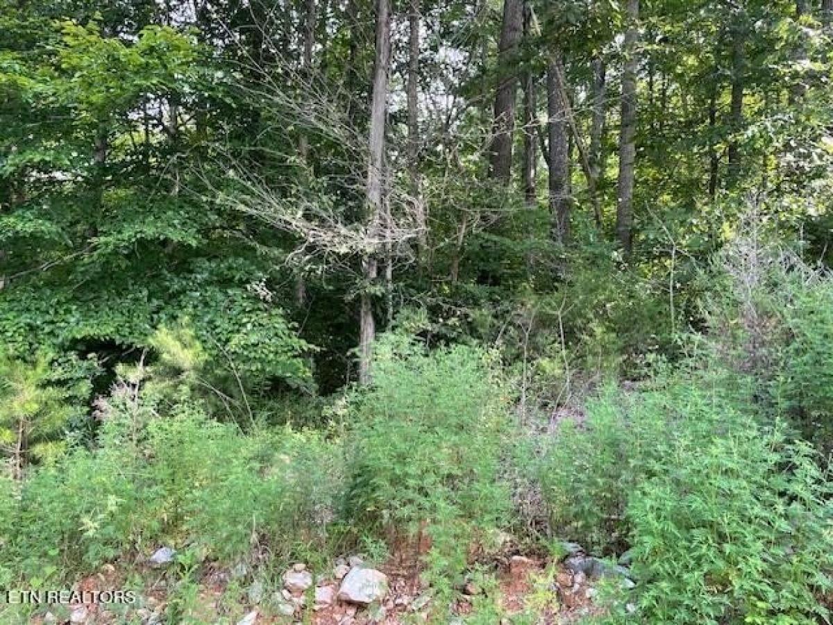 Picture of Residential Land For Sale in Sharps Chapel, Tennessee, United States