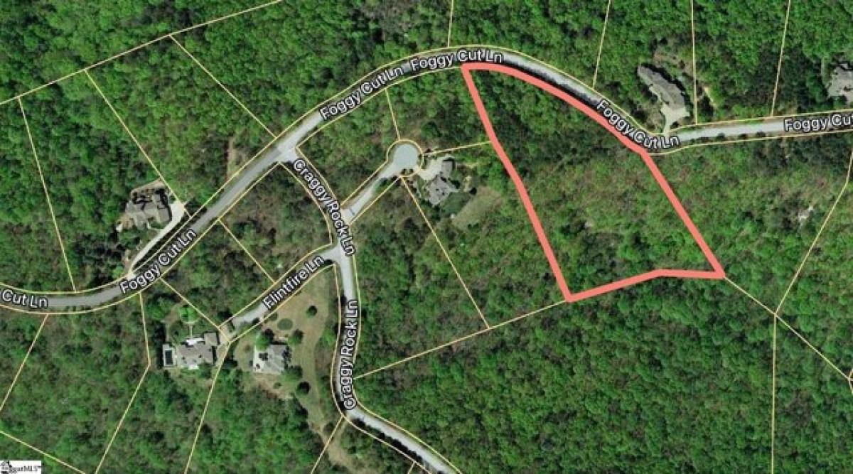 Picture of Residential Land For Sale in Landrum, South Carolina, United States