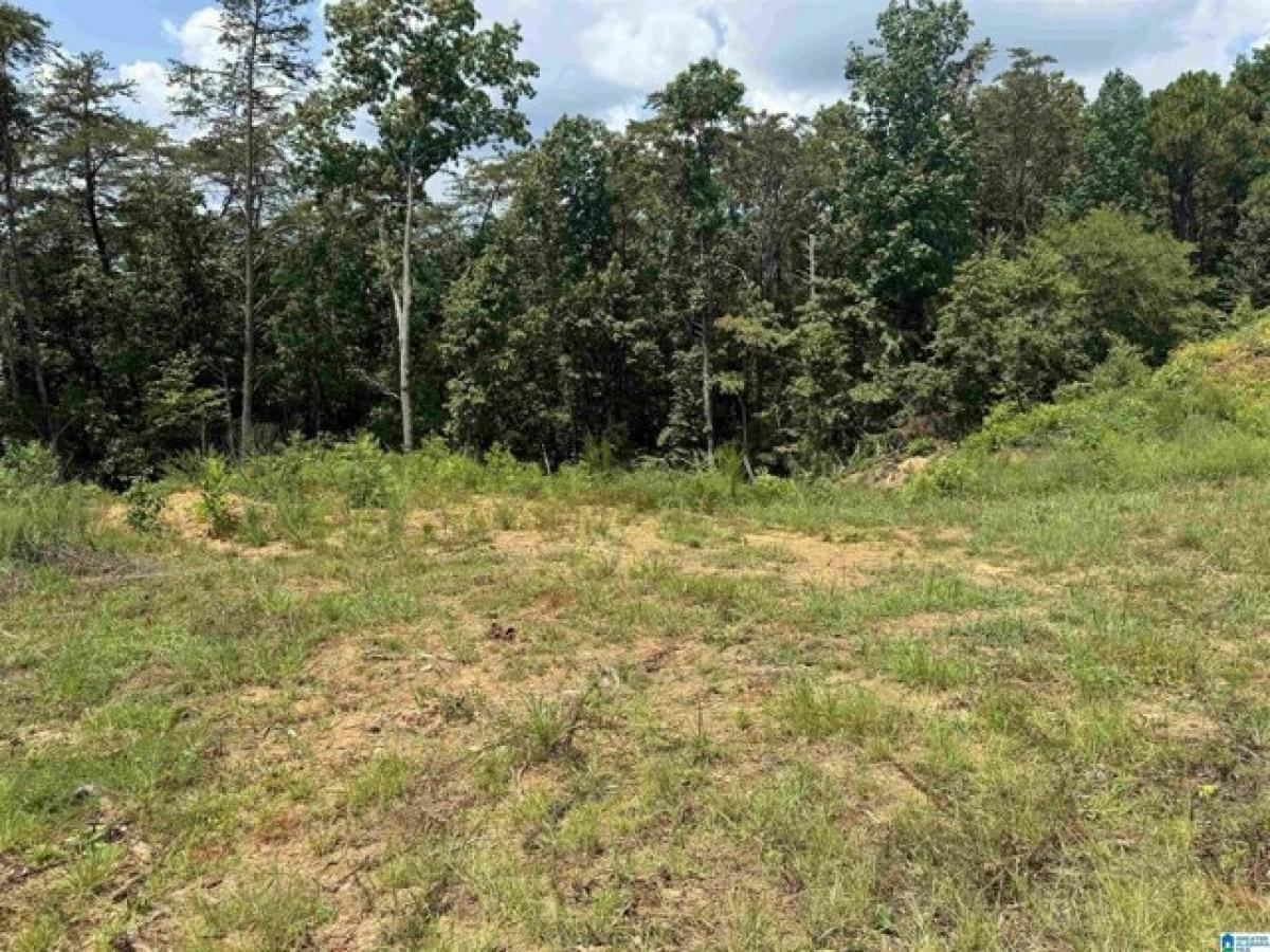 Picture of Residential Land For Sale in Gardendale, Alabama, United States