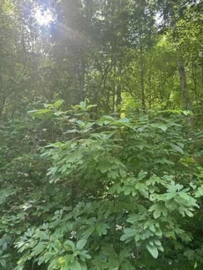 Residential Land For Sale in Manchester, Kentucky