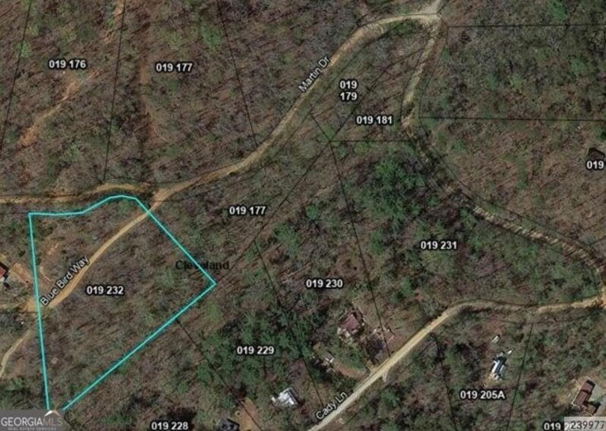 Picture of Residential Land For Sale in Cleveland, Georgia, United States