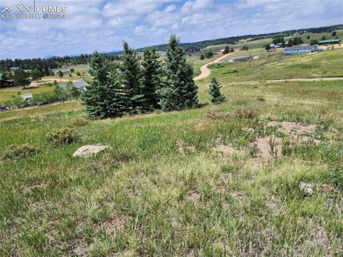 Picture of Residential Land For Sale in Divide, Colorado, United States