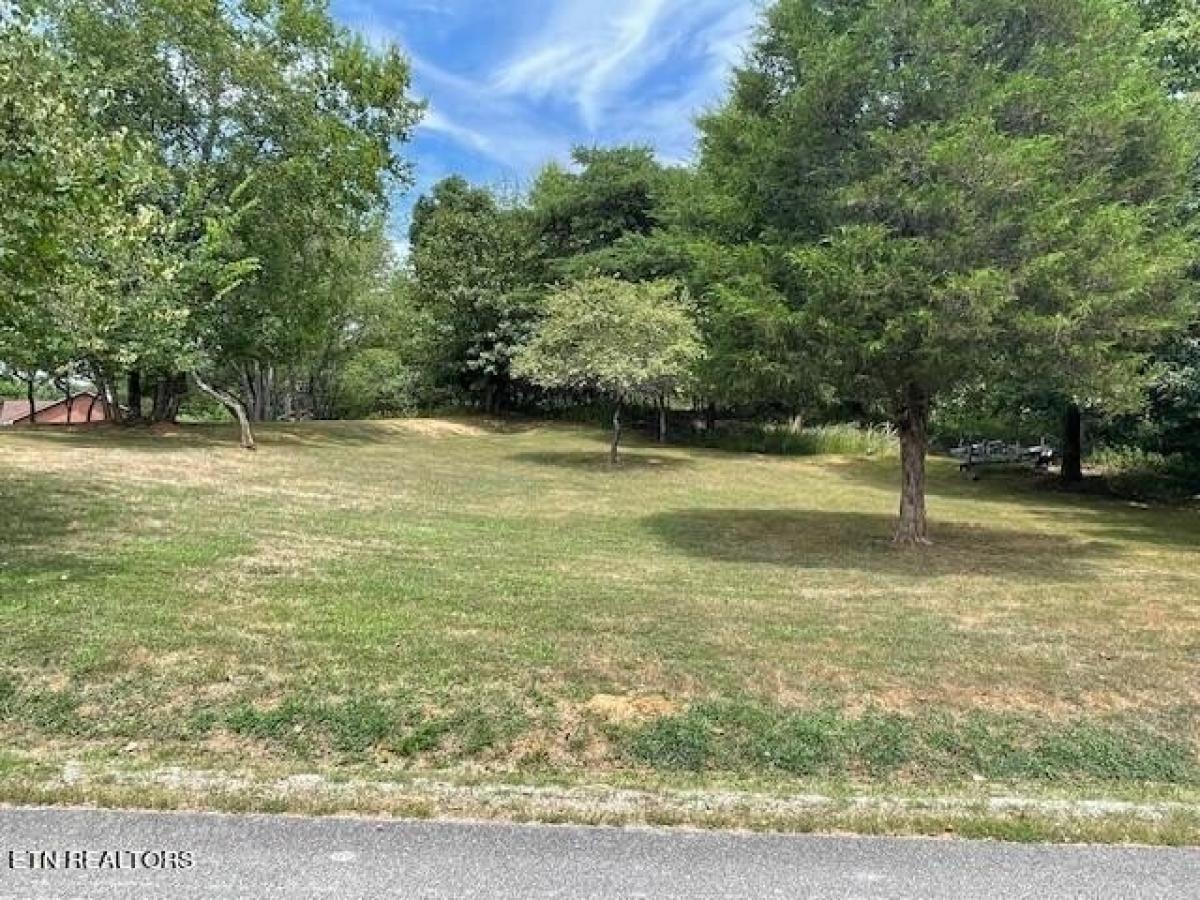 Picture of Residential Land For Sale in Ten Mile, Tennessee, United States