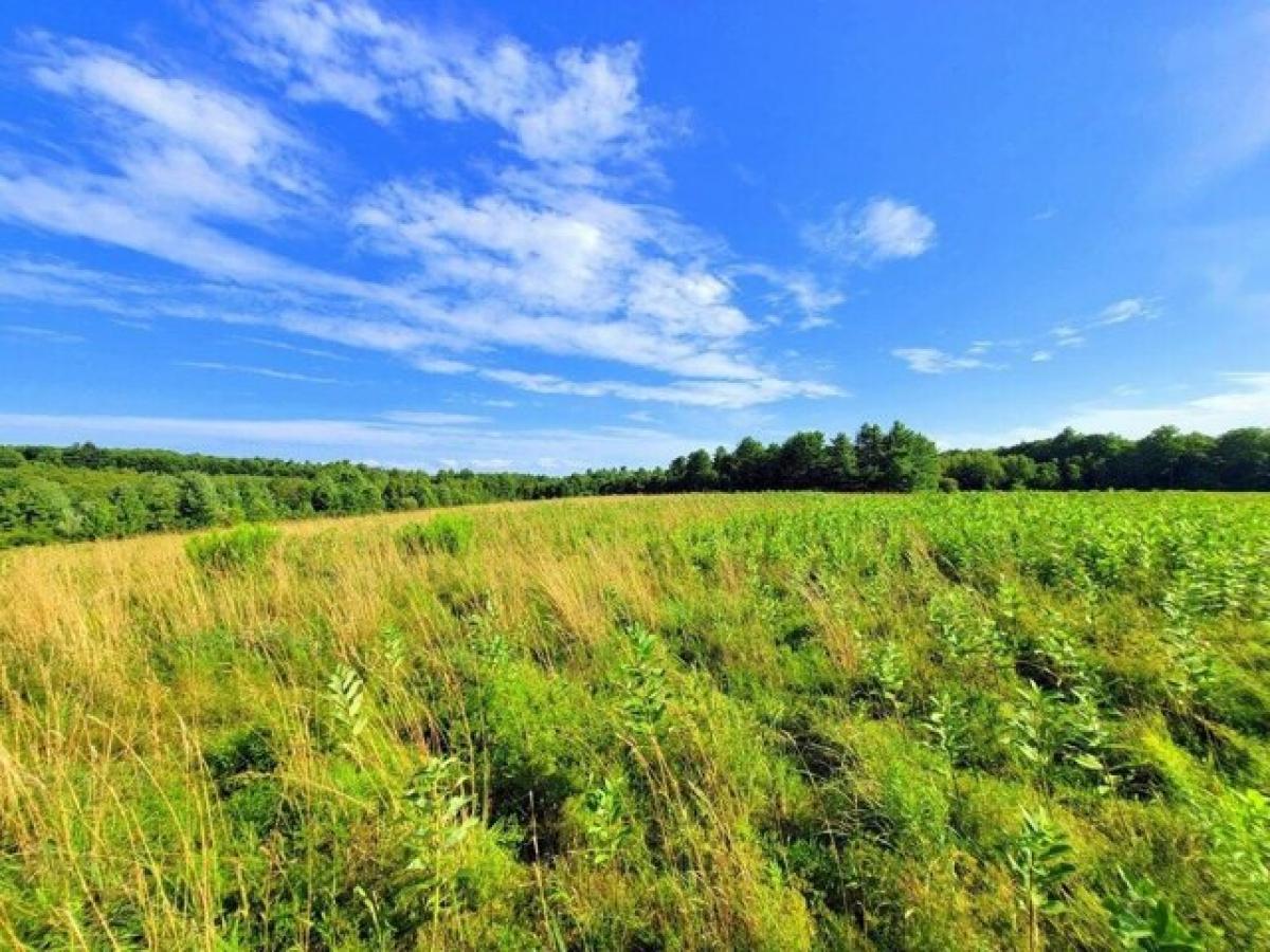 Picture of Residential Land For Sale in Chesterville, Maine, United States