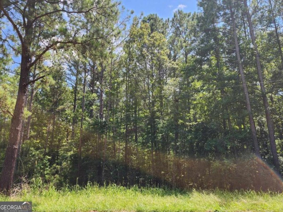 Picture of Residential Land For Sale in Thomaston, Georgia, United States