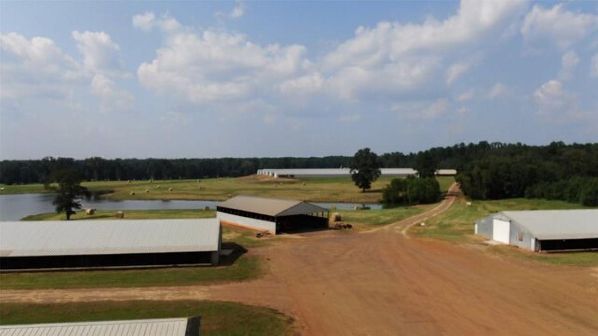 Picture of Residential Land For Sale in San Augustine, Texas, United States