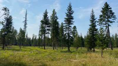 Residential Land For Sale in Columbia Falls, Montana