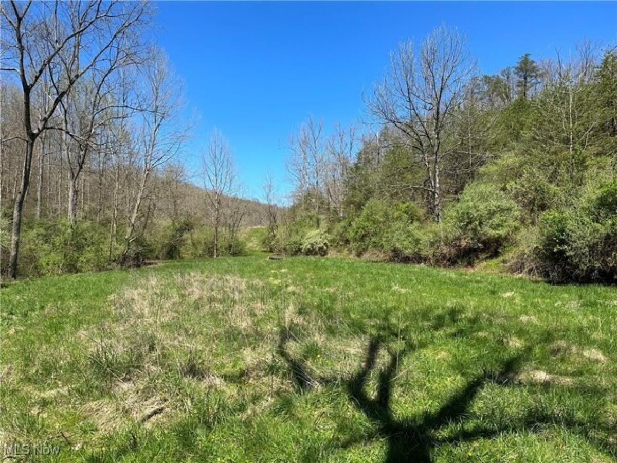 Picture of Residential Land For Sale in Walker, West Virginia, United States