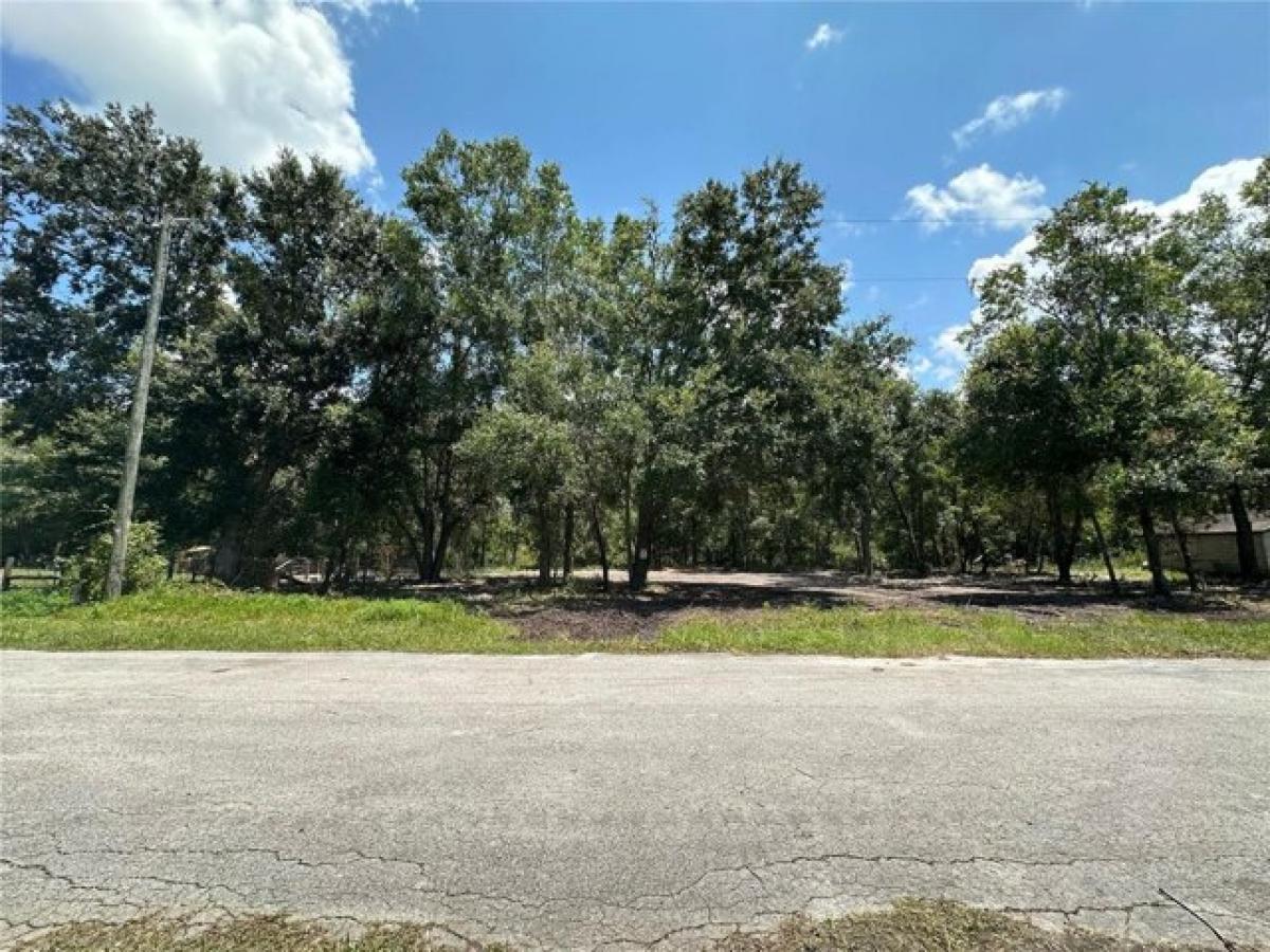 Picture of Residential Land For Sale in Land O Lakes, Florida, United States