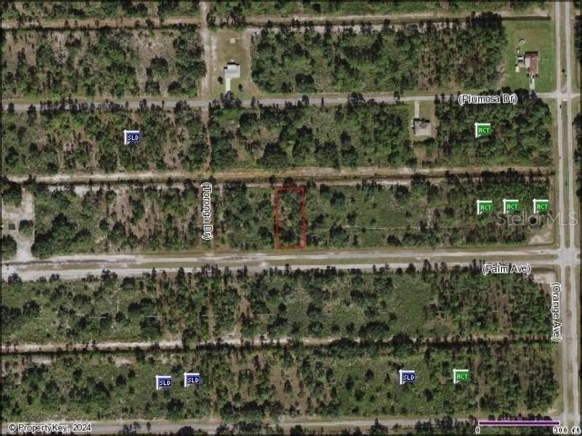 Picture of Residential Land For Sale in Indian Lake Estates, Florida, United States