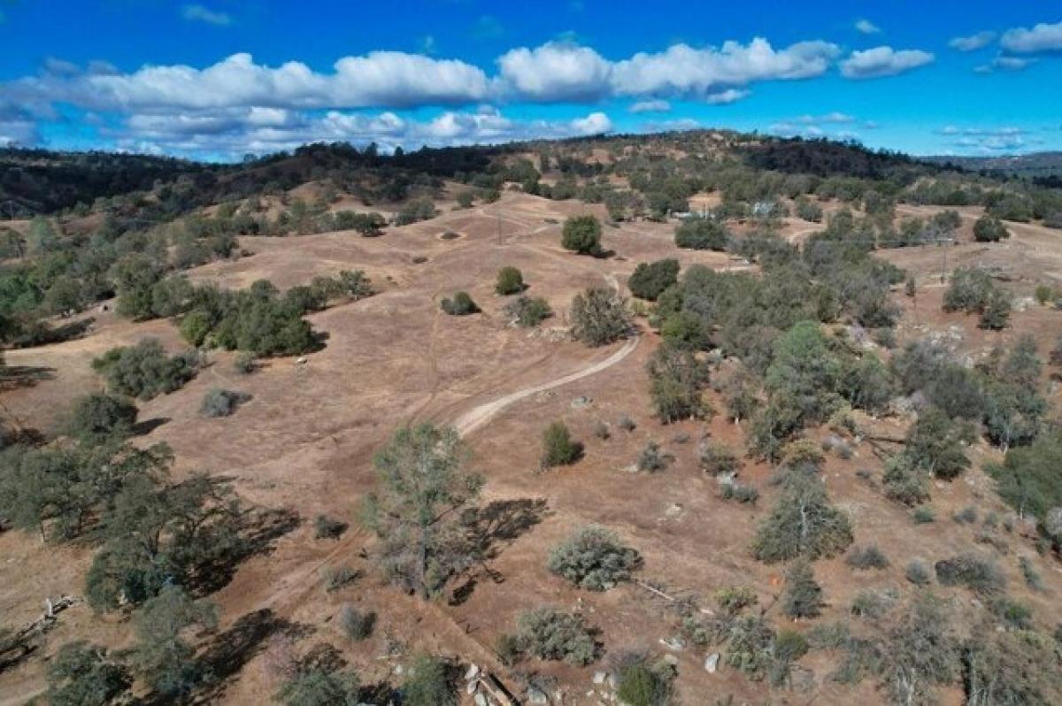 Picture of Residential Land For Sale in Coarsegold, California, United States