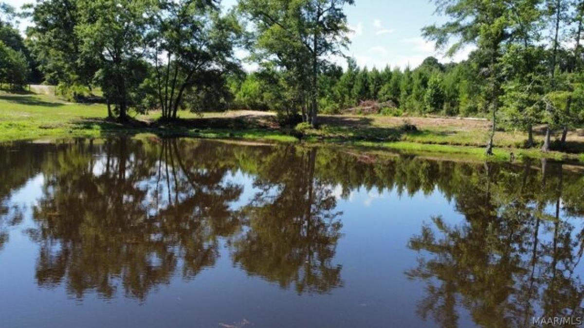 Picture of Residential Land For Sale in Elba, Alabama, United States