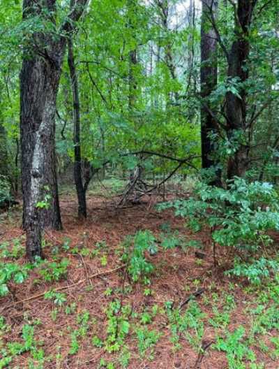 Residential Land For Sale in Heathsville, Virginia