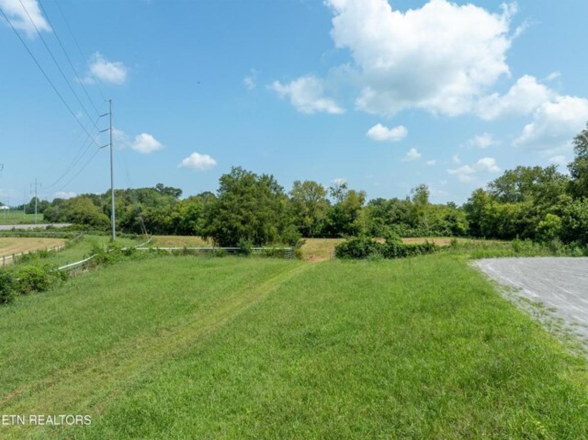 Picture of Residential Land For Sale in Greenback, Tennessee, United States