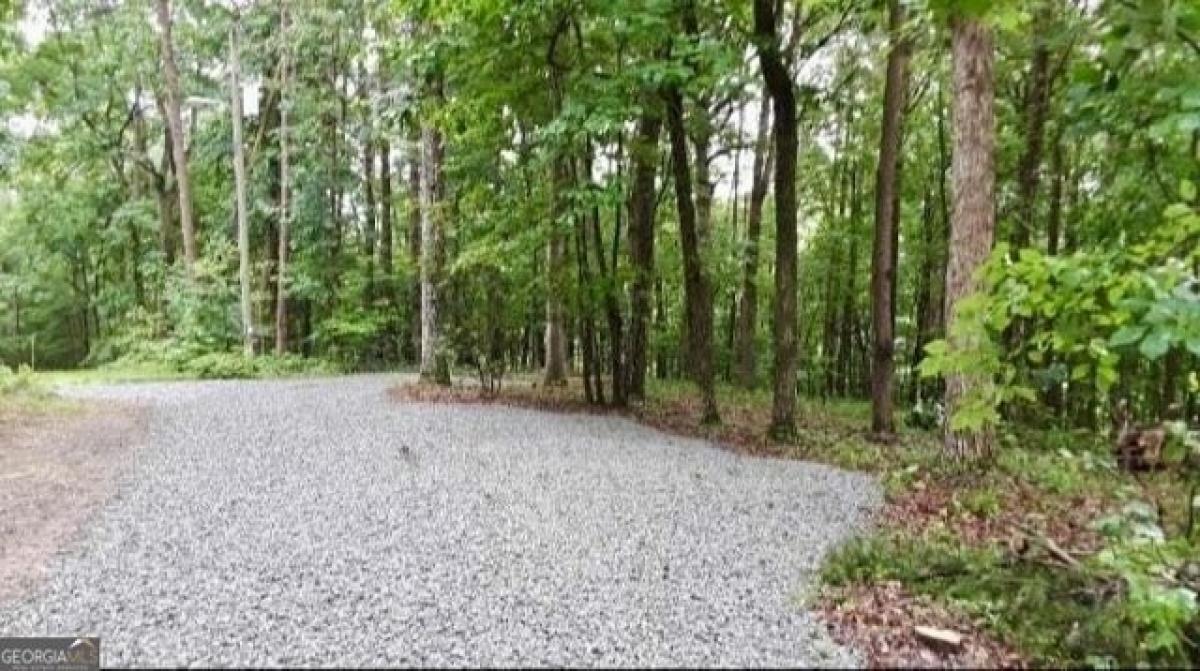 Picture of Residential Land For Sale in Cleveland, Georgia, United States