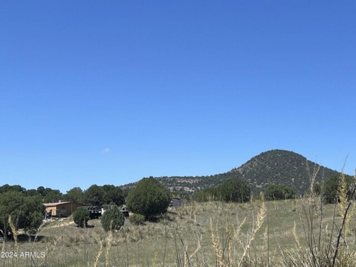 Picture of Home For Sale in Young, Arizona, United States