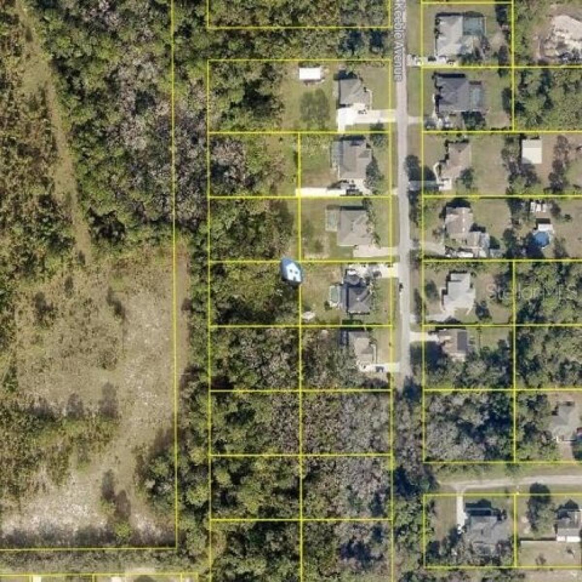 Picture of Residential Land For Sale in Debary, Florida, United States