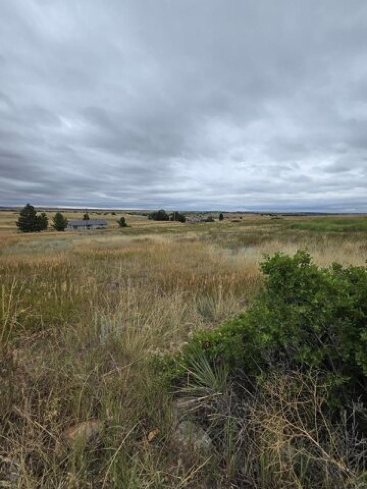 Picture of Residential Land For Sale in Colorado City, Colorado, United States