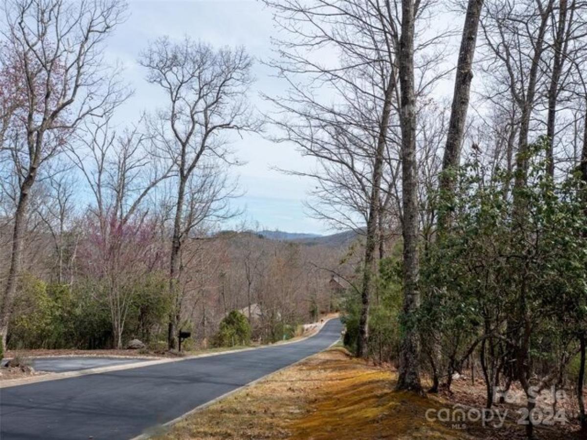 Picture of Residential Land For Sale in Mills River, North Carolina, United States