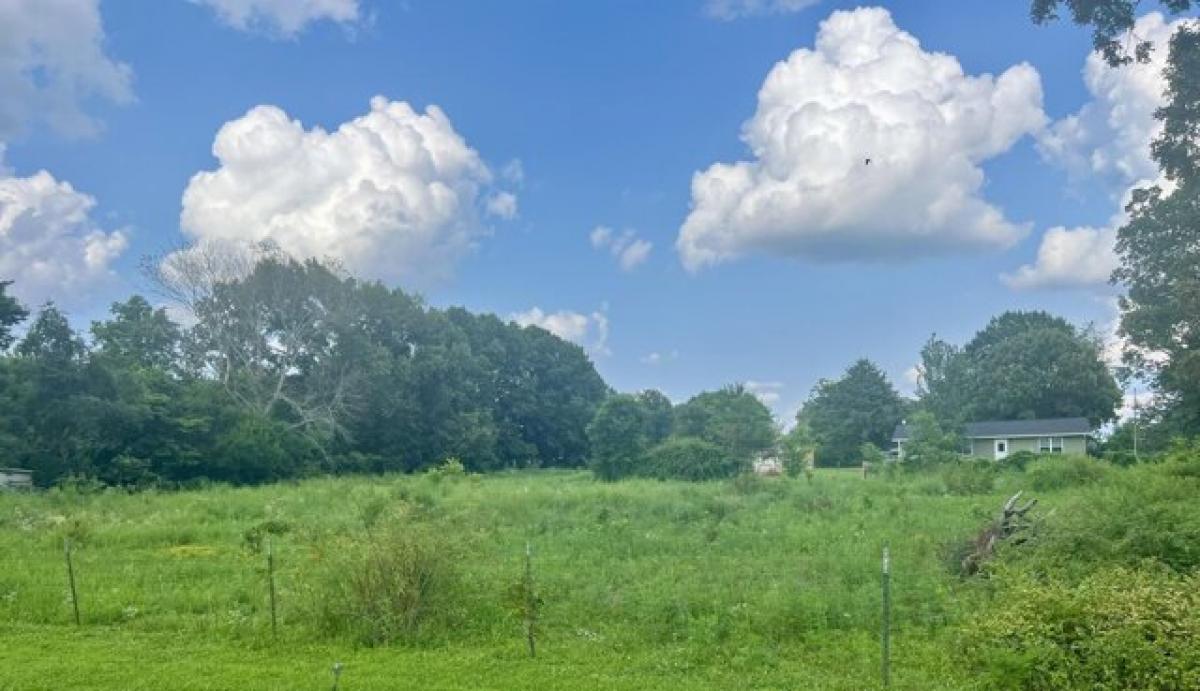 Picture of Residential Land For Sale in Taneyville, Missouri, United States