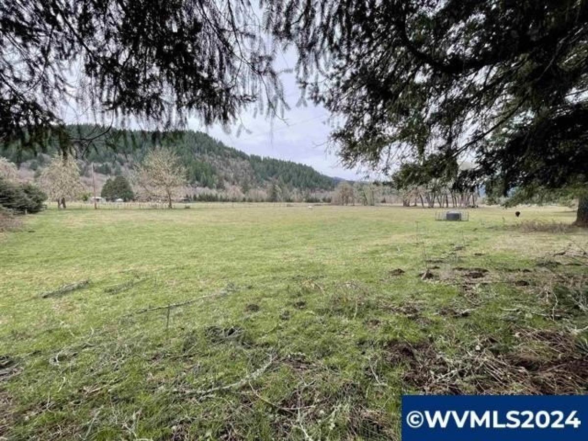 Picture of Residential Land For Sale in Alsea, Oregon, United States