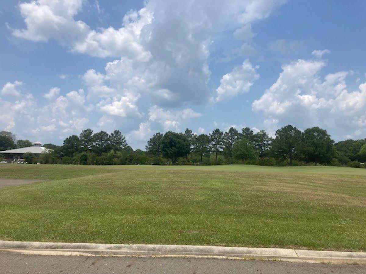 Picture of Residential Land For Sale in Carencro, Louisiana, United States