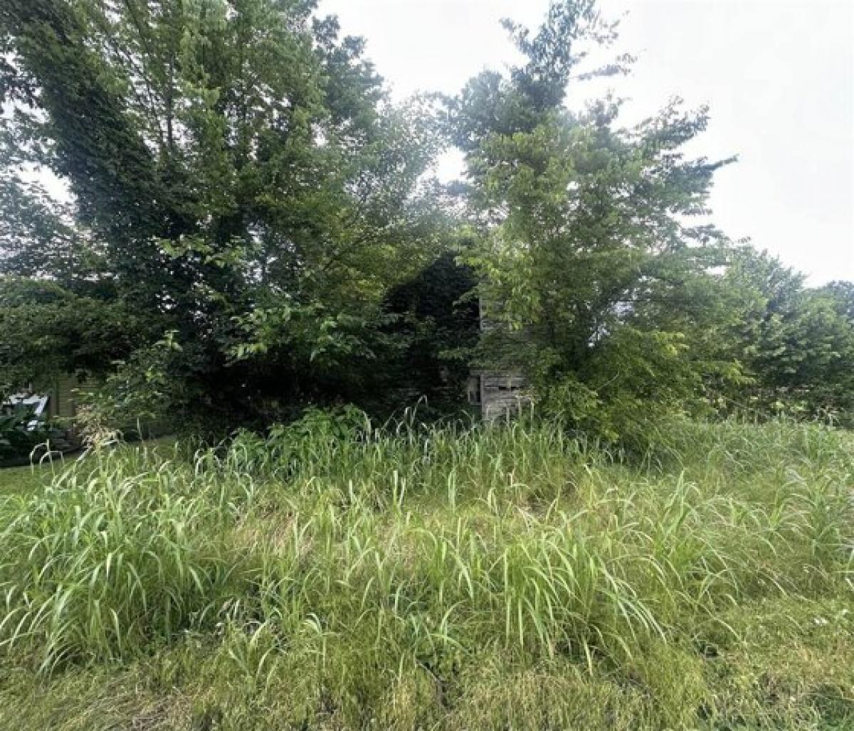 Picture of Residential Land For Sale in Russellville, Kentucky, United States