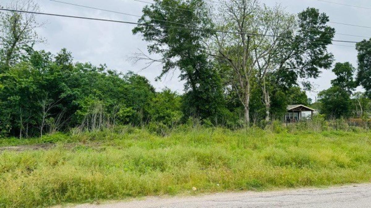 Picture of Residential Land For Sale in Fresno, Texas, United States