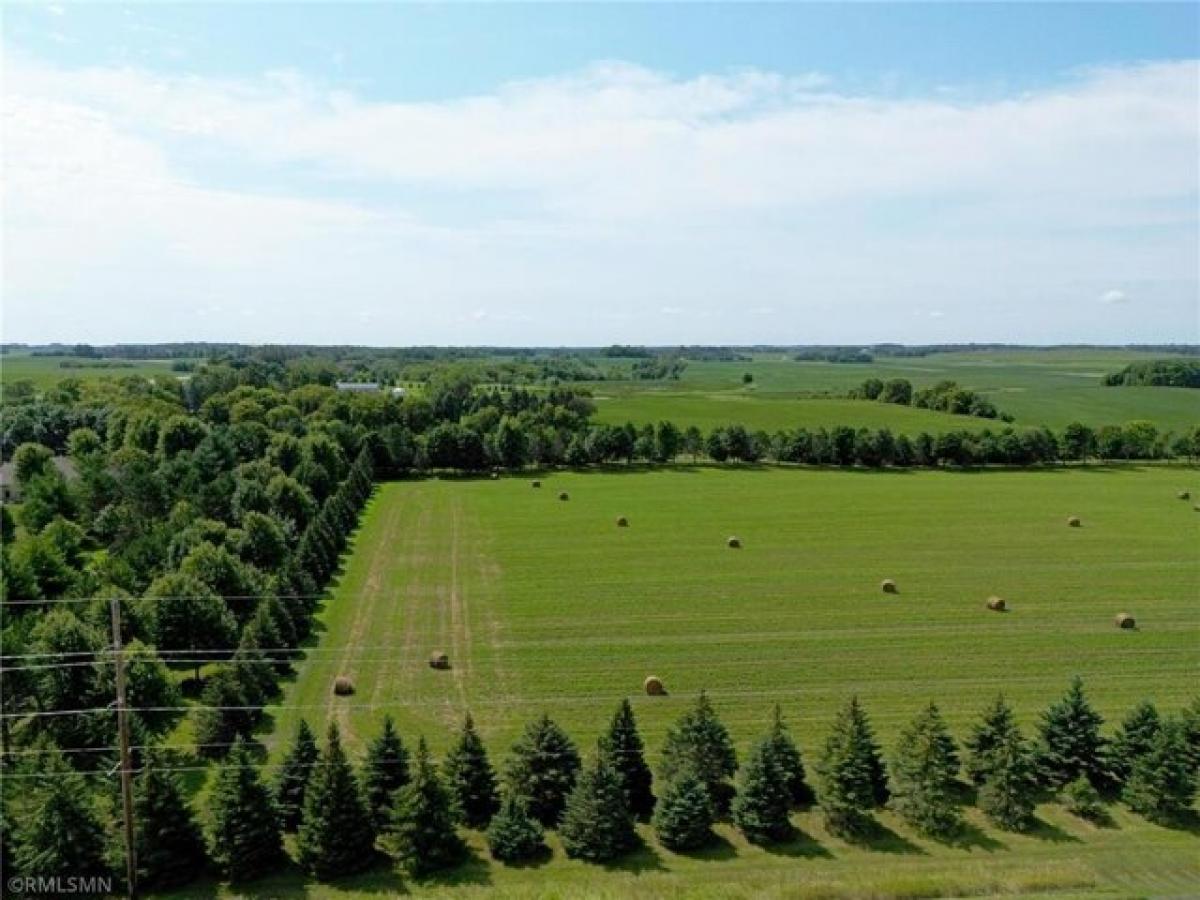 Picture of Residential Land For Sale in Cokato, Minnesota, United States