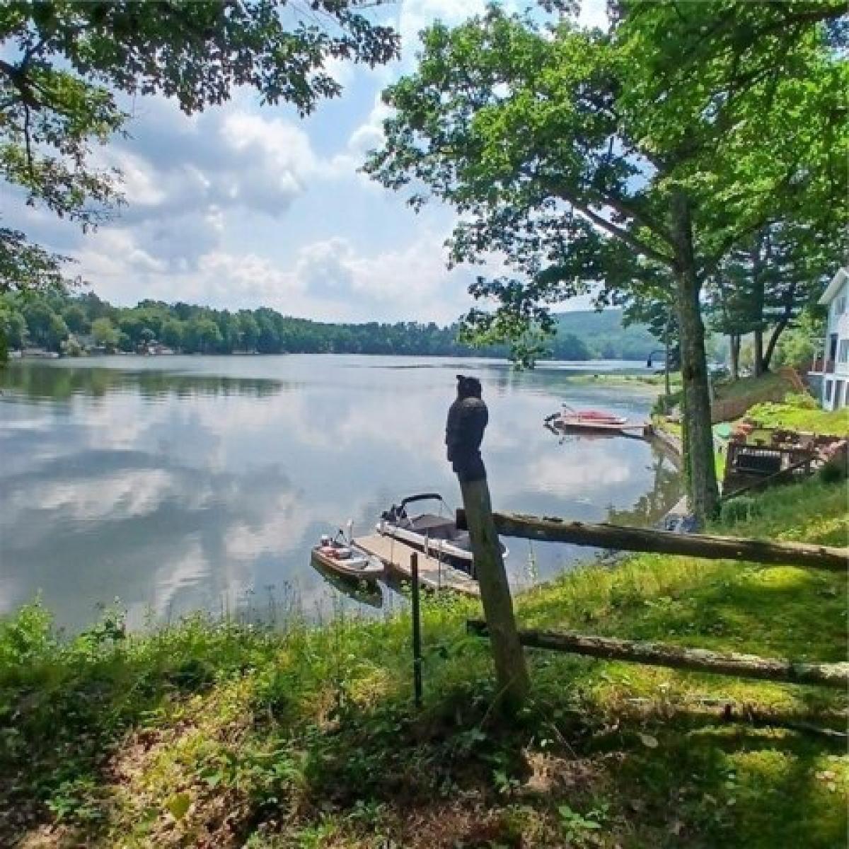 Picture of Home For Sale in Oneonta, New York, United States