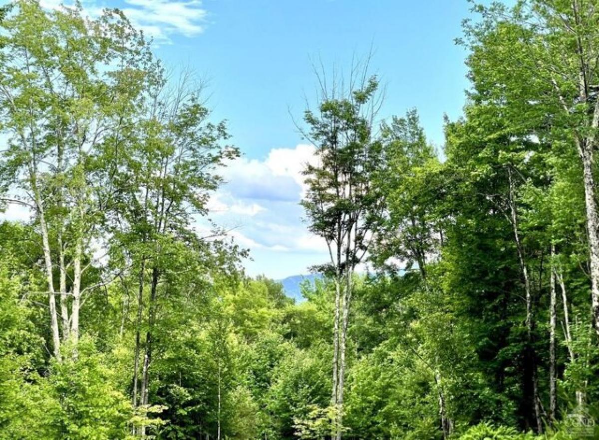 Picture of Residential Land For Sale in Jewett, New York, United States