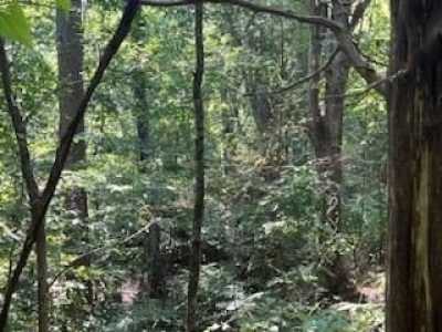 Residential Land For Sale in Huntingdon, Tennessee