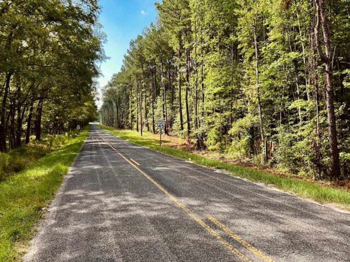 Picture of Residential Land For Sale in Garnett, South Carolina, United States