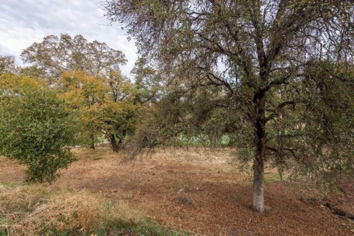 Picture of Residential Land For Sale in Auburn, California, United States