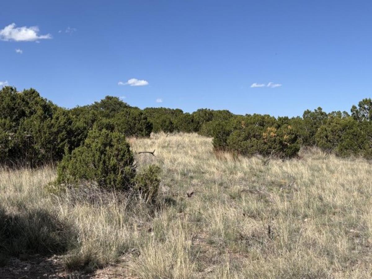 Picture of Residential Land For Sale in Magdalena, New Mexico, United States