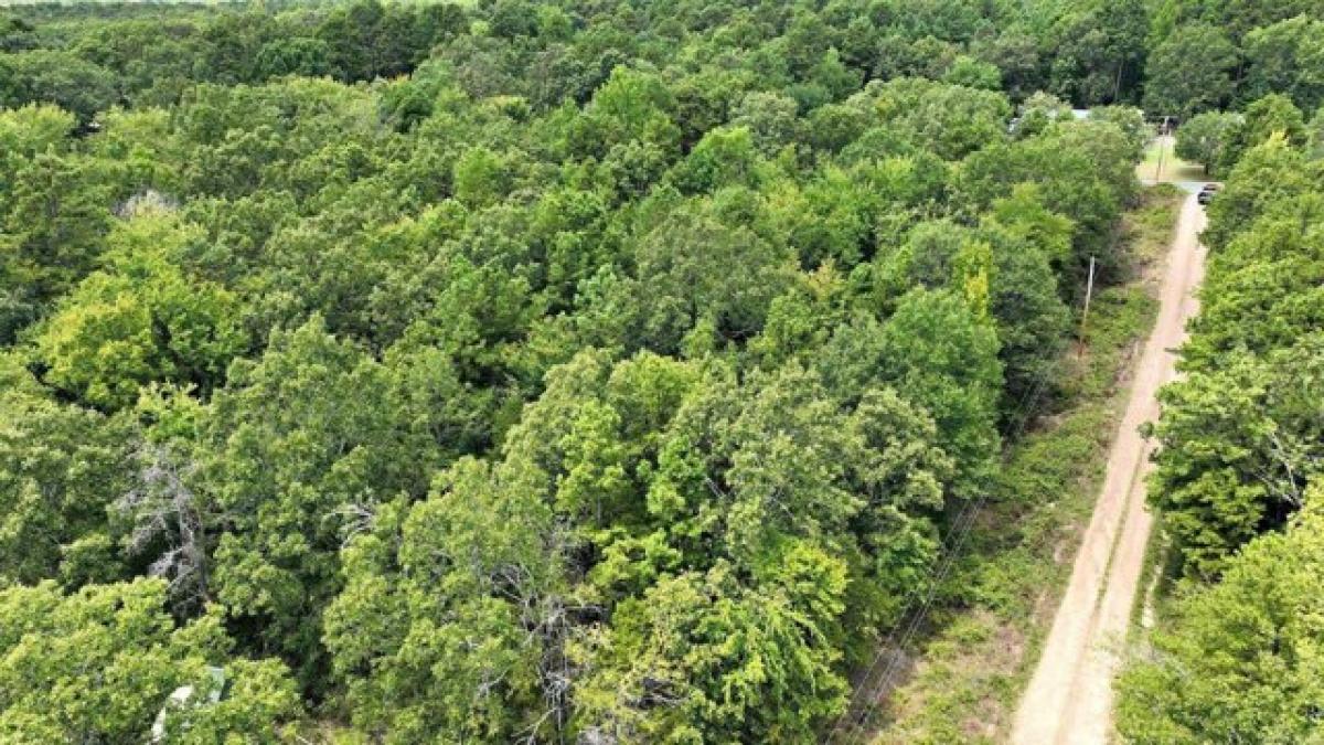 Picture of Residential Land For Sale in Mena, Arkansas, United States