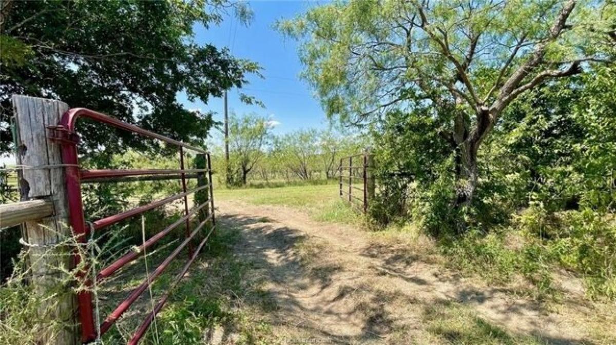 Picture of Residential Land For Sale in Groesbeck, Texas, United States