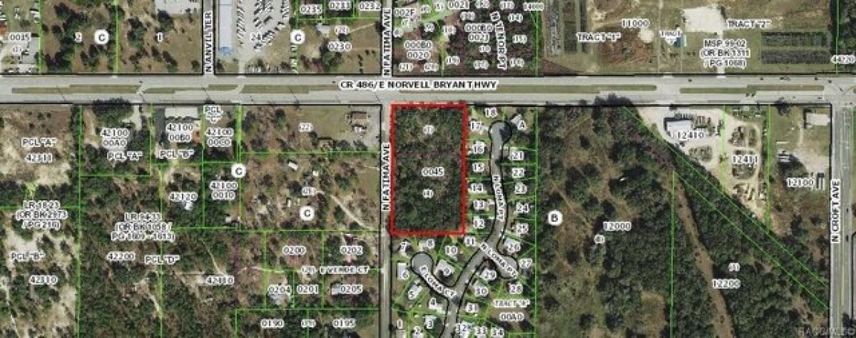 Picture of Residential Land For Sale in Hernando, Florida, United States