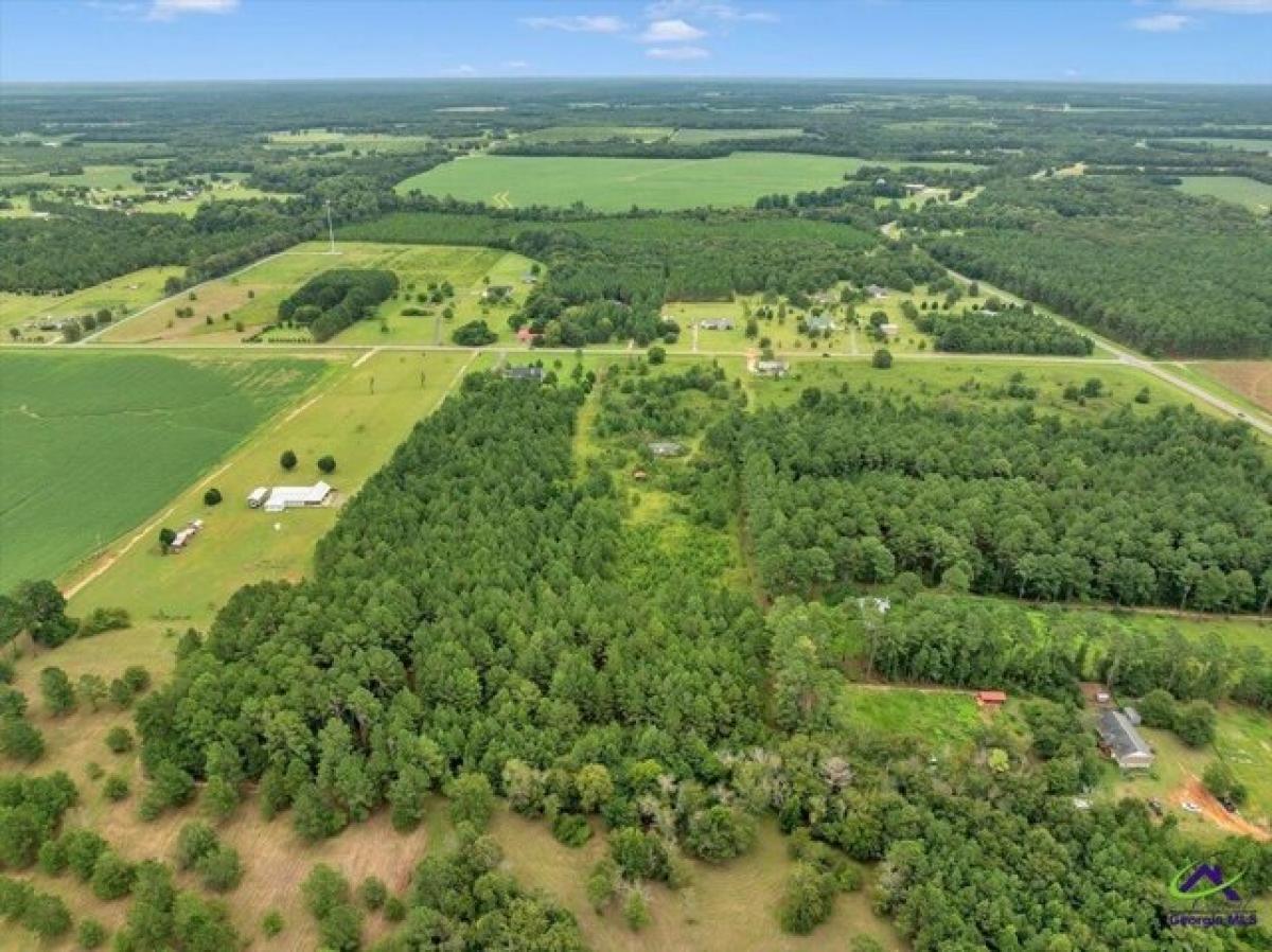 Picture of Residential Land For Sale in Hawkinsville, Georgia, United States