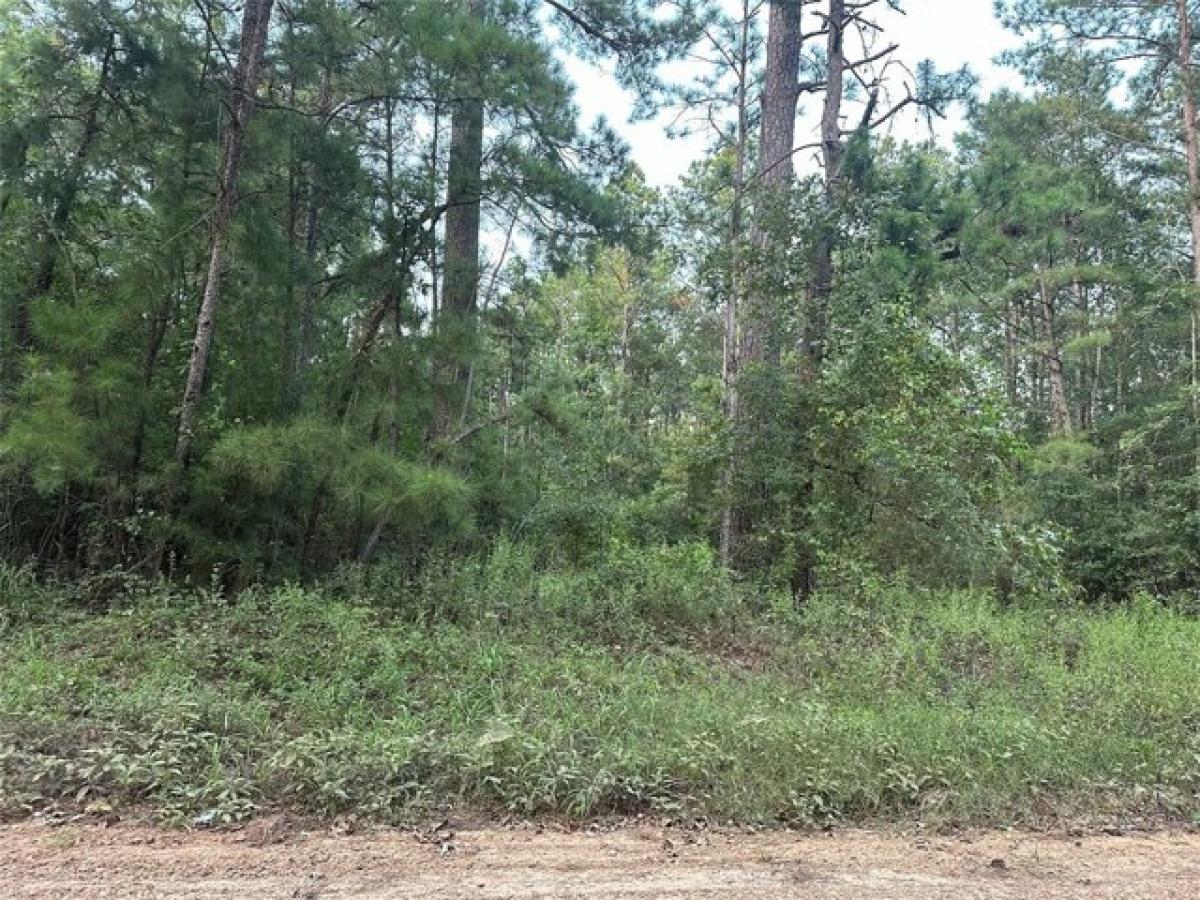 Picture of Residential Land For Sale in Oakhurst, Texas, United States