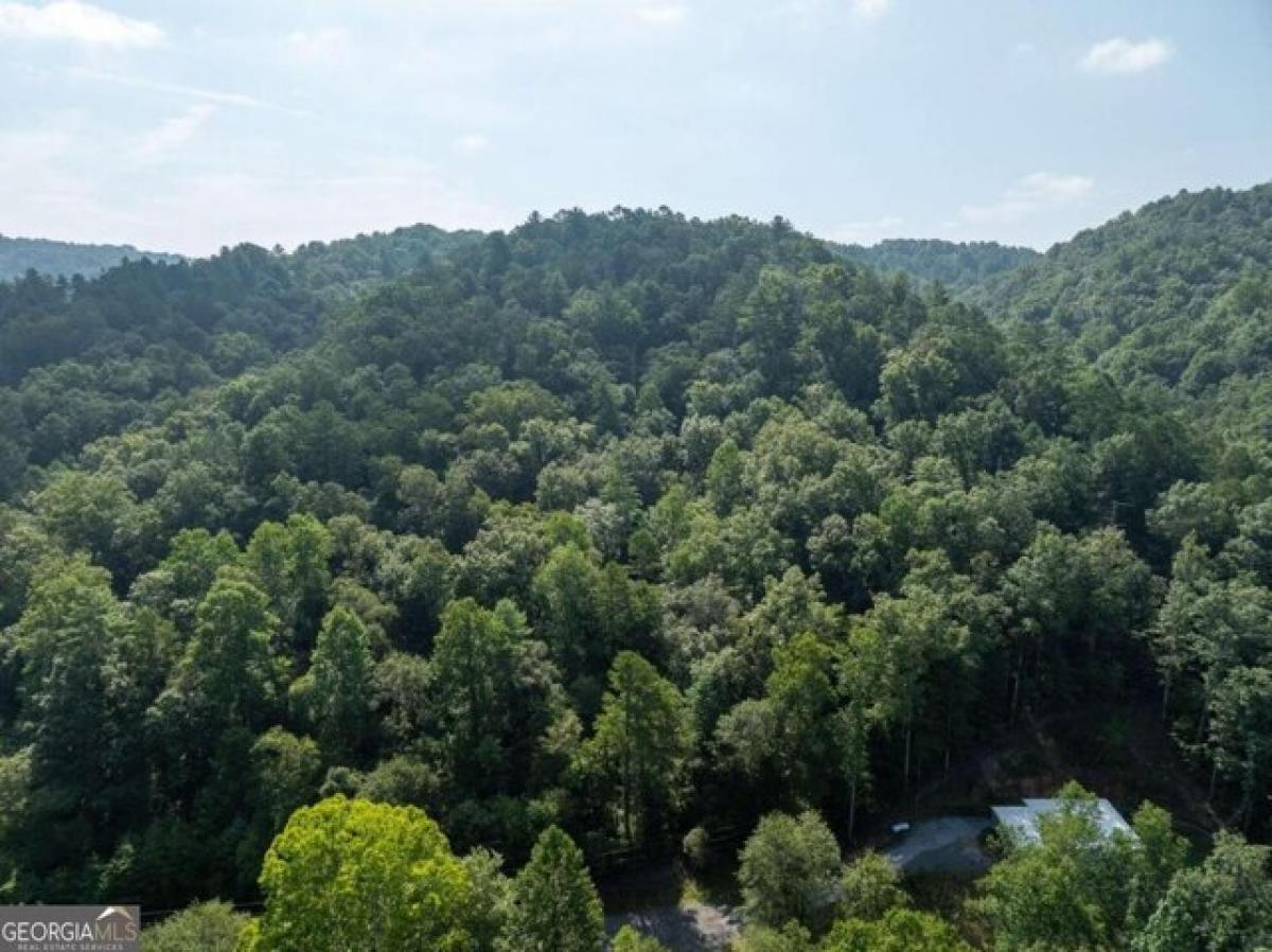 Picture of Residential Land For Sale in Talking Rock, Georgia, United States