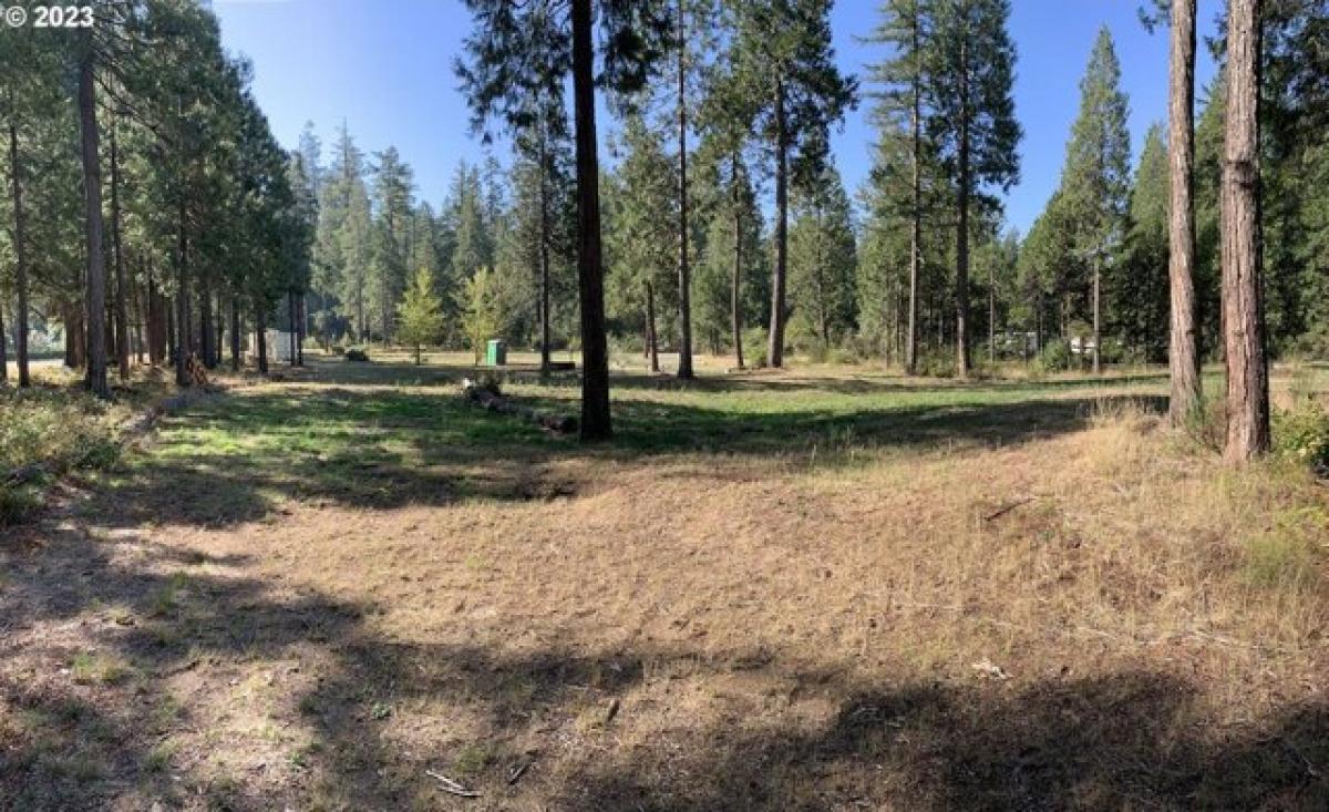 Picture of Residential Land For Sale in McKenzie Bridge, Oregon, United States