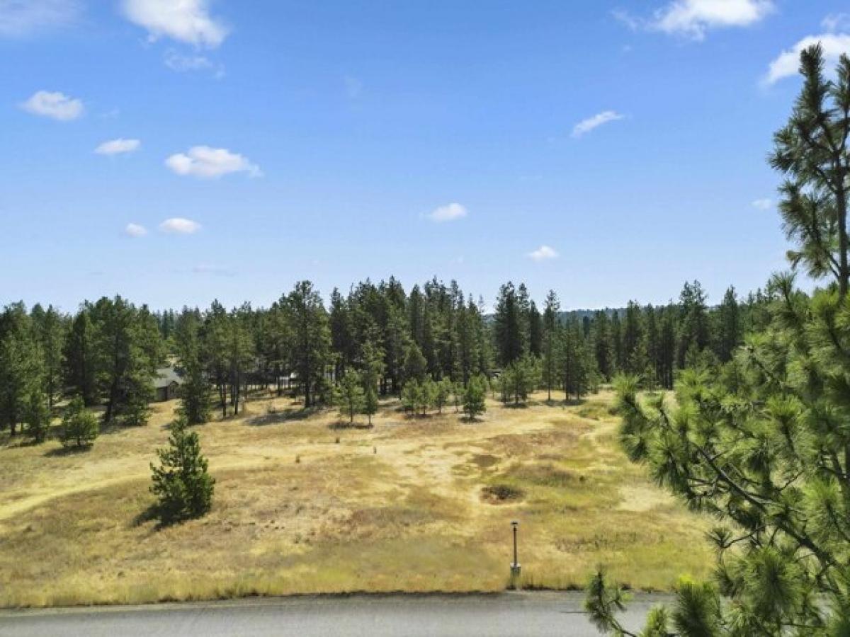 Picture of Residential Land For Sale in Spokane, Washington, United States