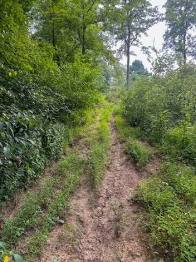 Residential Land For Sale in Carlisle, Kentucky