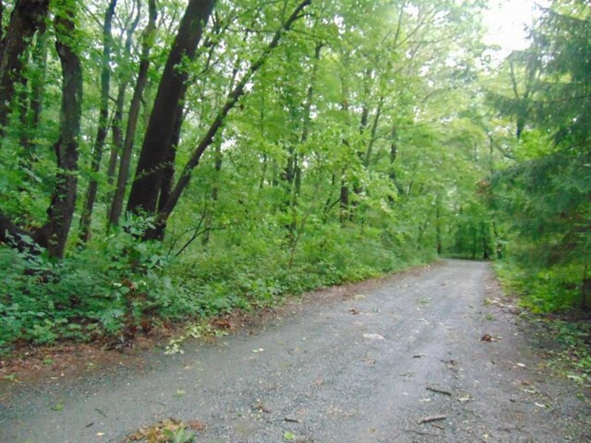 Picture of Residential Land For Sale in Barto, Pennsylvania, United States