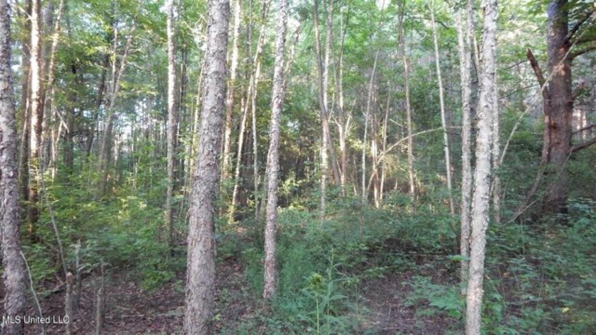 Picture of Residential Land For Sale in Byhalia, Mississippi, United States