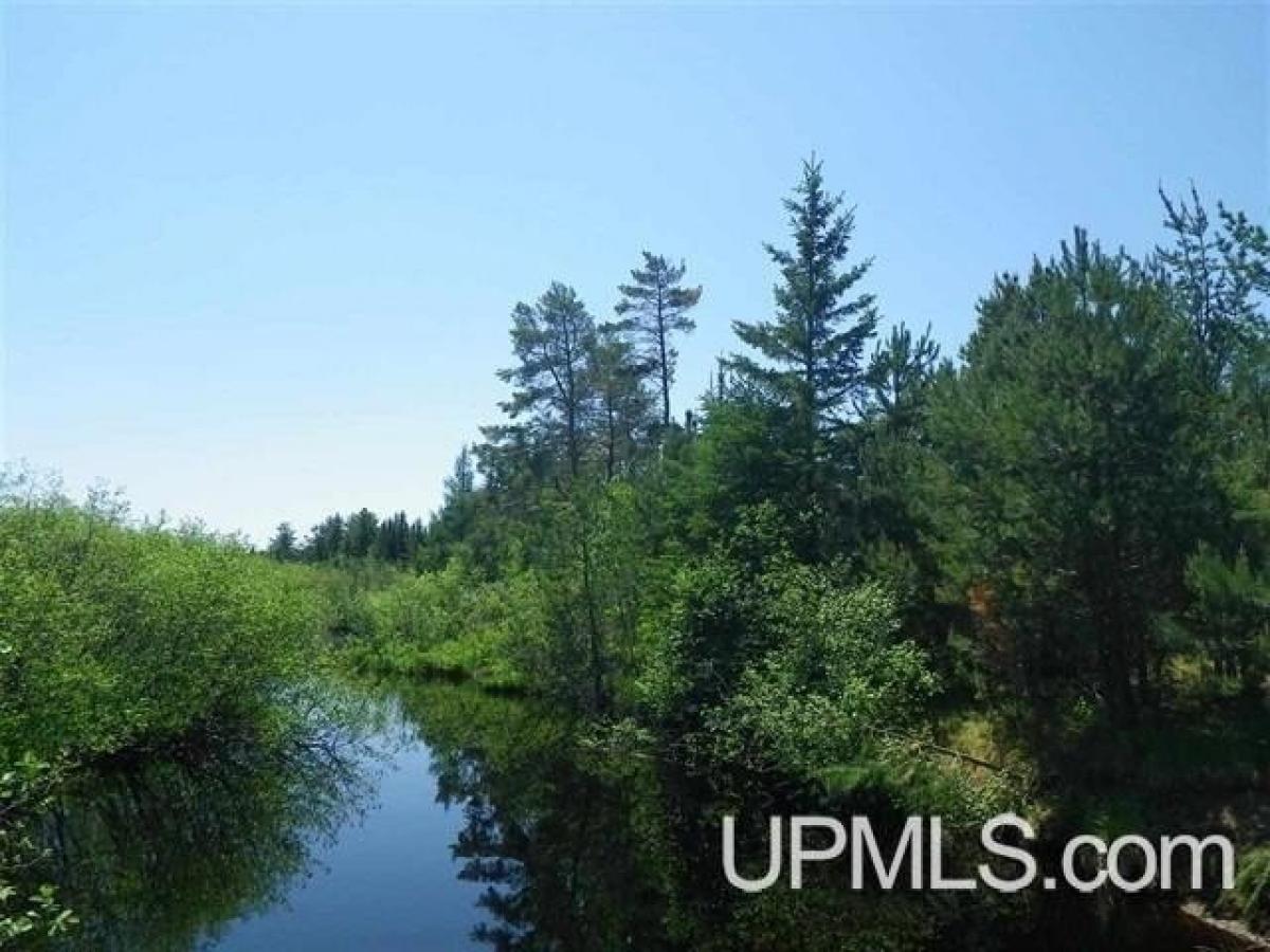 Picture of Residential Land For Sale in Republic, Michigan, United States