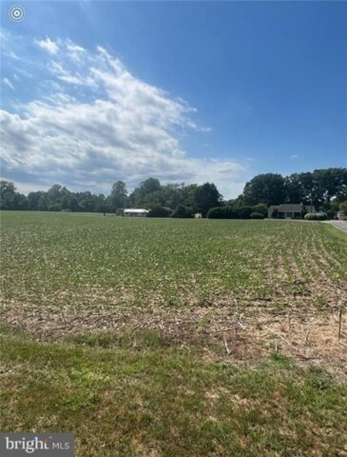 Picture of Residential Land For Sale in Burgess, Virginia, United States