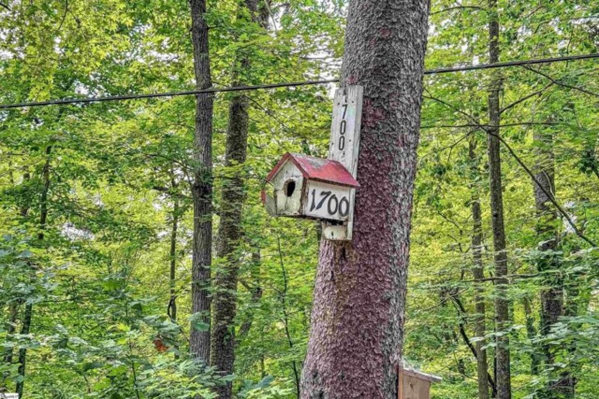 Picture of Home For Sale in Landrum, South Carolina, United States