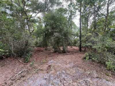 Residential Land For Sale in Georgetown, Florida